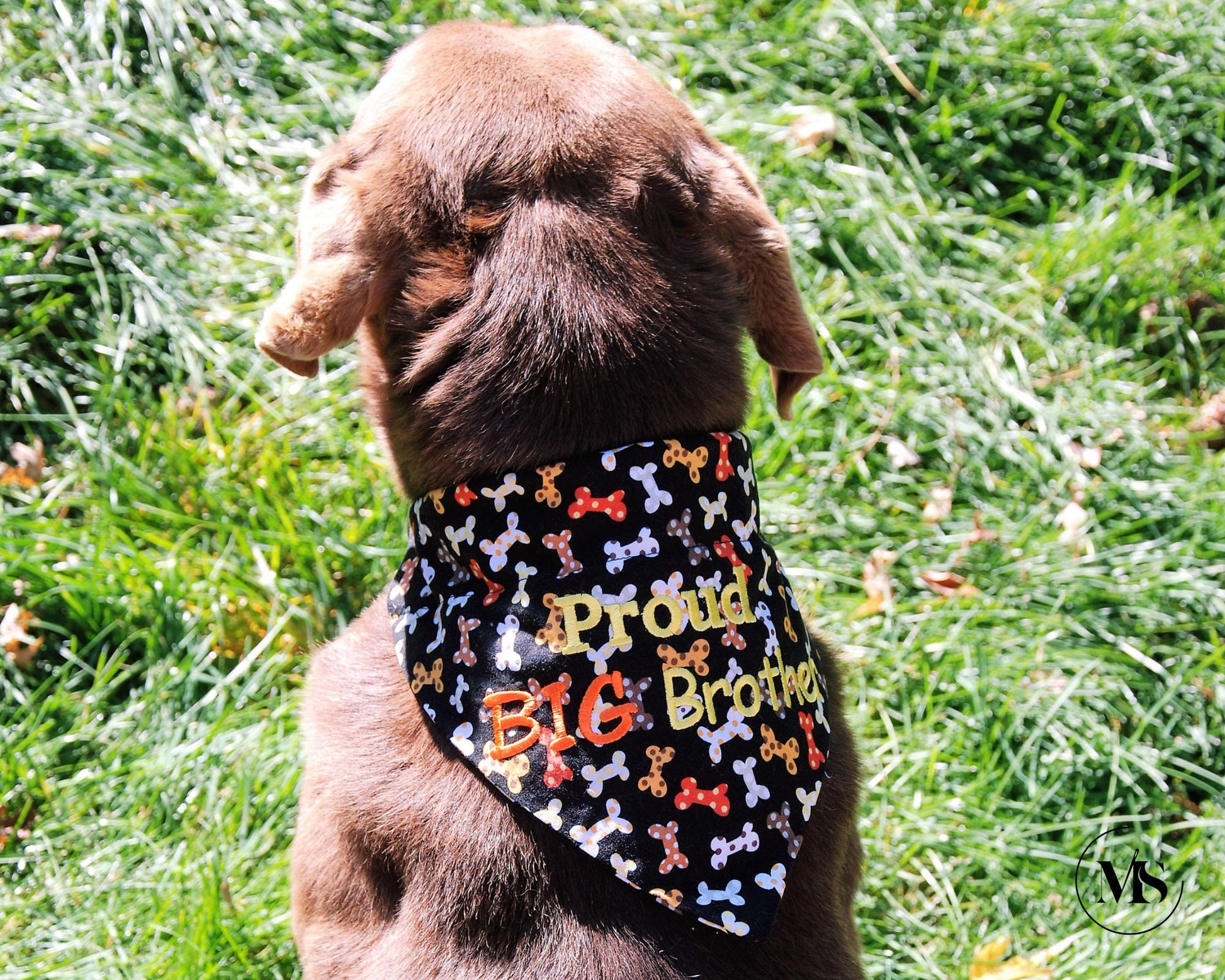 Big/Small Brother or Sister Personalized Pet Bandanas