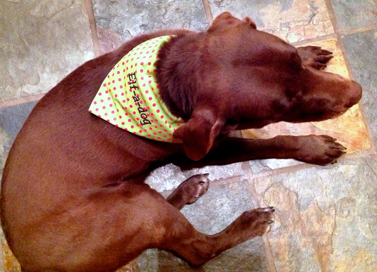 Big/Small Brother or Sister Personalized Pet Bandanas