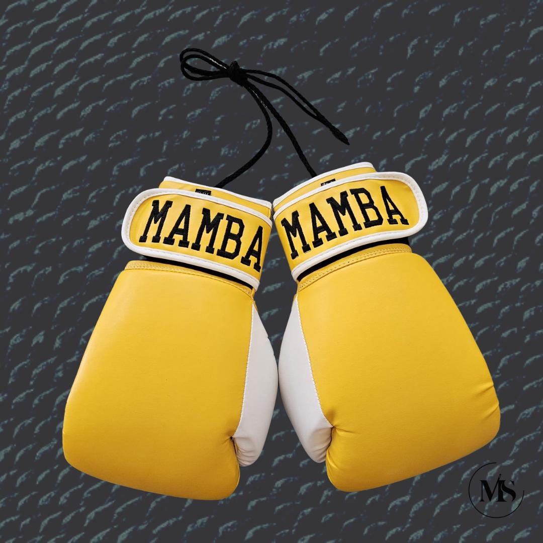 Adult or Youth Personalized boxing gloves