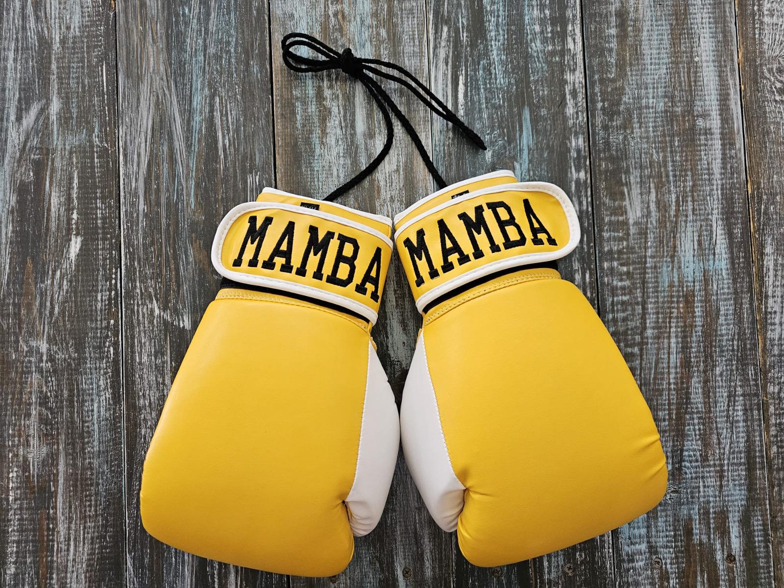 Personalized Youth & Adult Boxing Robe, Shorts and Gloves (Individual or 3-Piece Set)