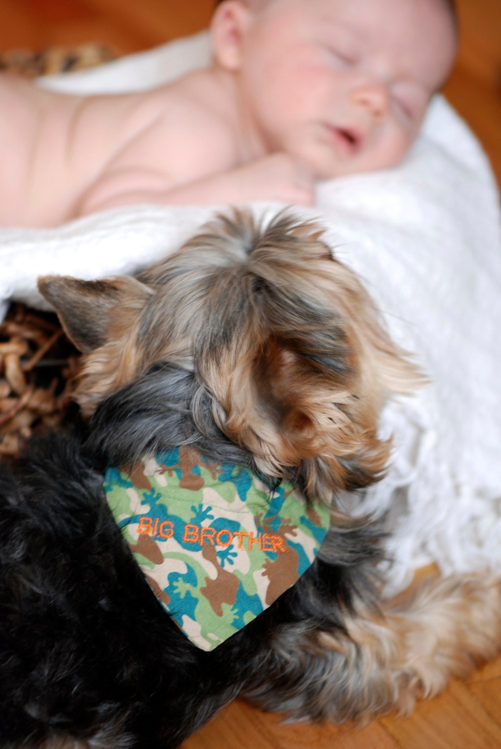 Big/Small Brother or Sister Personalized Pet Bandanas