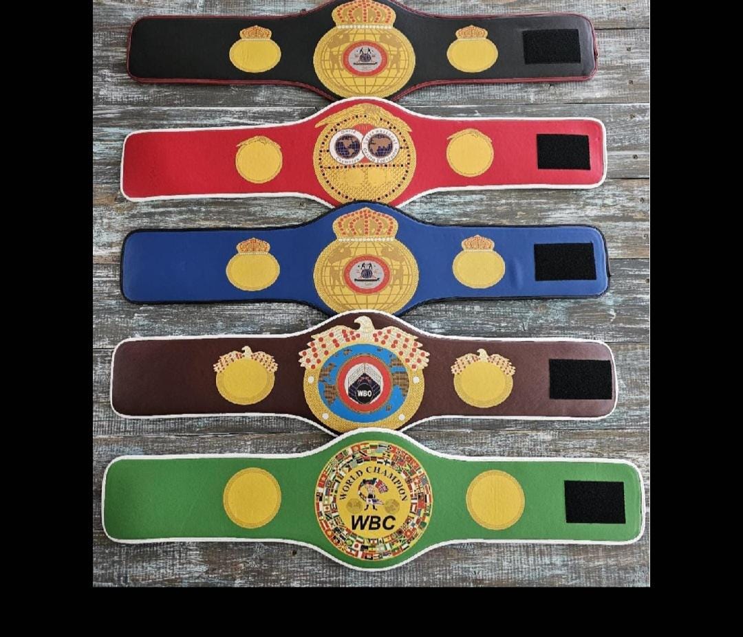 Baby's 1st Birthday Boxing Set & Debut Halloween Costume