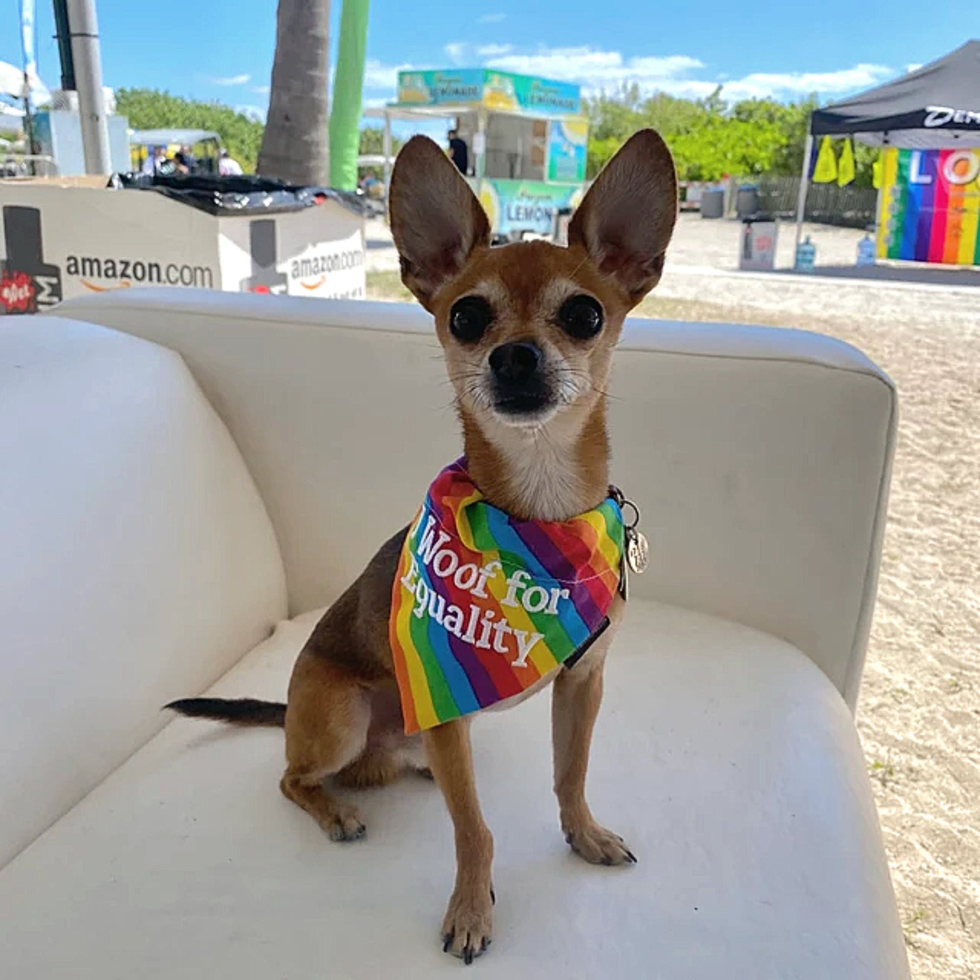 LGBTQ+ Custom Pride Pet Bandanas