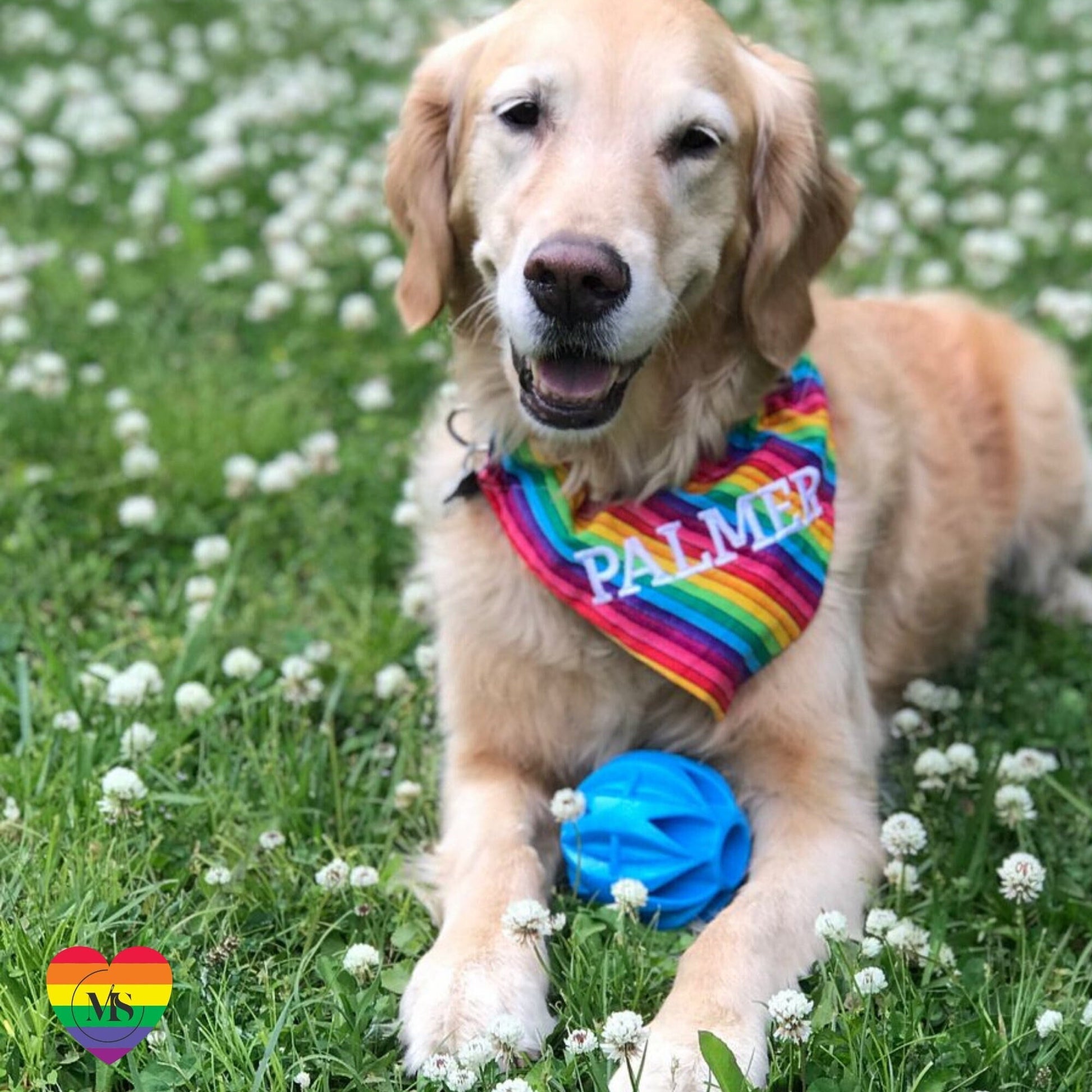 LGBTQ+ Custom Pride Pet Bandanas (for medium and large-sized dogs)