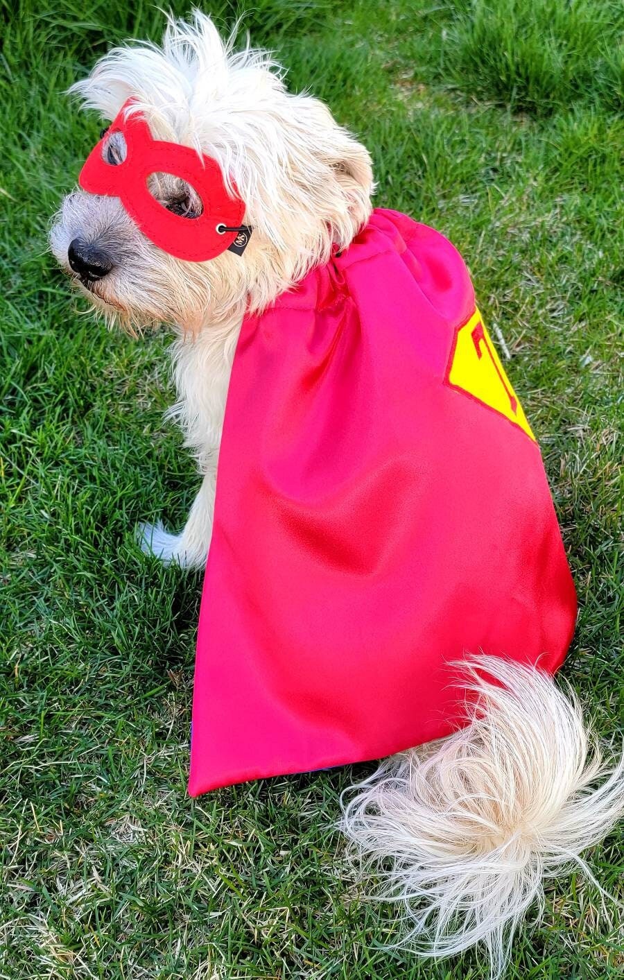 Pet Super hero cape and mask set
