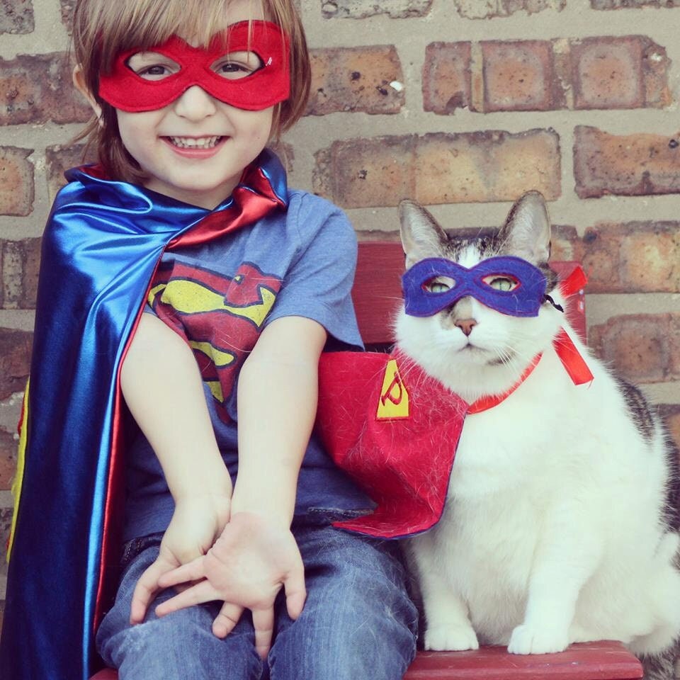 Pet Super hero cape and mask set